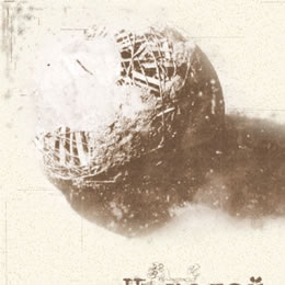 Николай Журавель