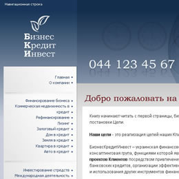 BusinessCreditInvest (v.1)