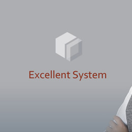 Excellent System