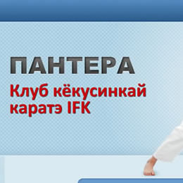 Pantera - karate club (v.2) (inside page)