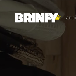 Brinfy (landing)