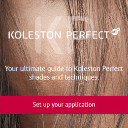 Koleston application (wella)