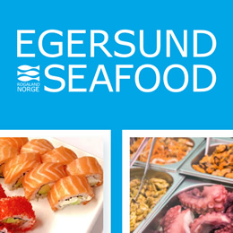 EGERSUND Terminal (full site)