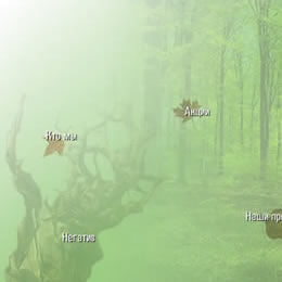 Відродження лісів України